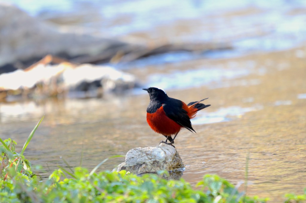 Hidden Gems Of&nbsp;Uttarakhand